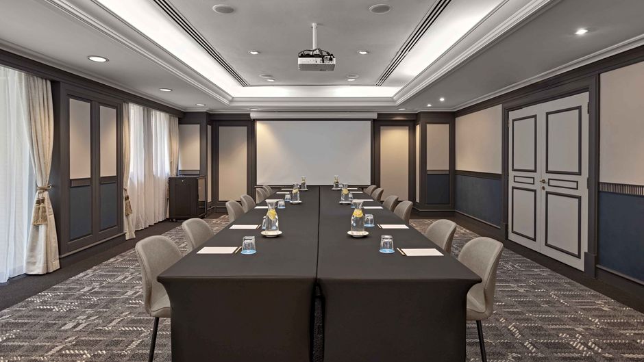 Vibe Hotel Singapore Orchard Meeting