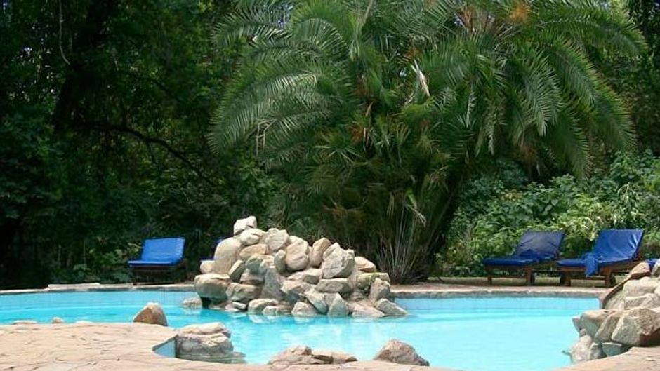 Siana Springs Intrepids Pool