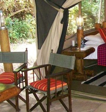 Siana Springs Intrepids