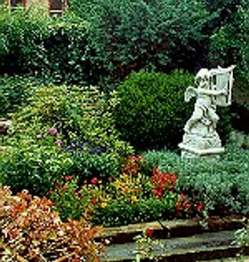 The Black Swan Hotel