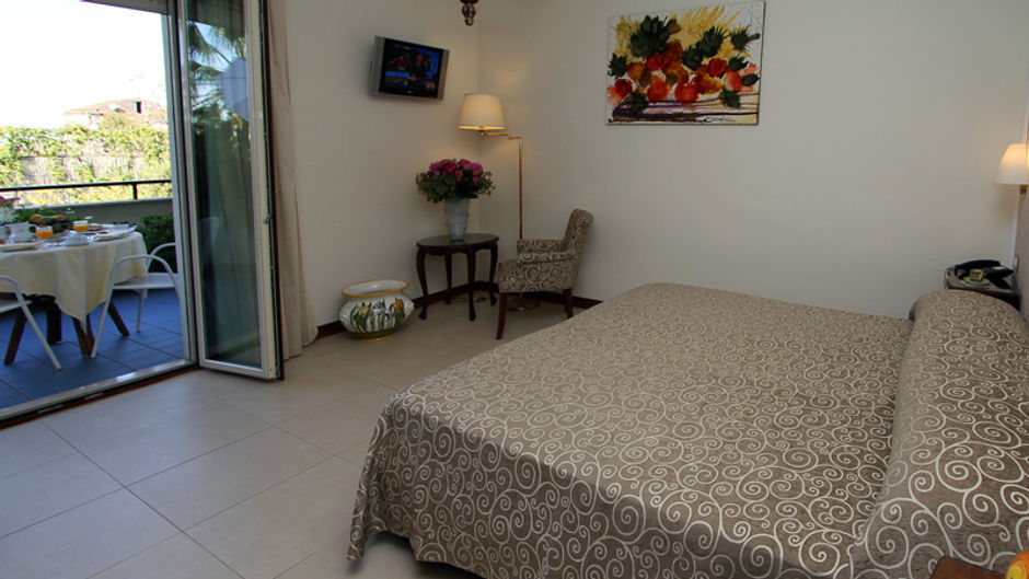 Alpha Hotel Room