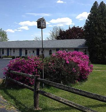 Blue Sky Motel