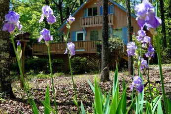 Pine Mountain Club Chalets