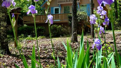Pine Mountain Club Chalets