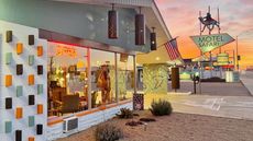 Motel Safari