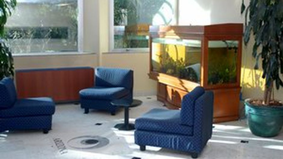 Hotel Arizona Lobby