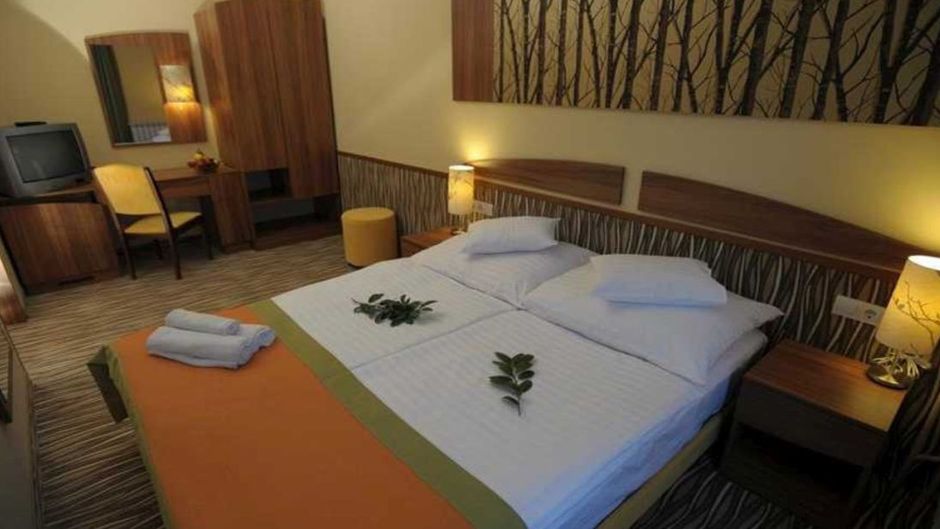 Park Hotel Gyula Room