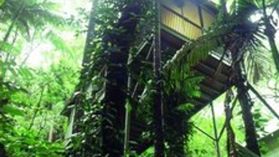 Daintree Eco Lodge & Spa Suite