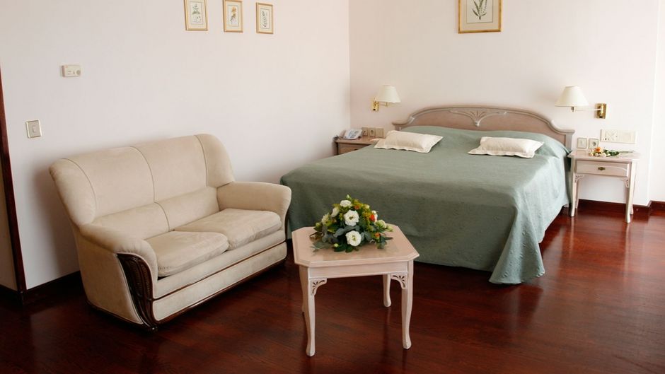 Hotel Mozart Room