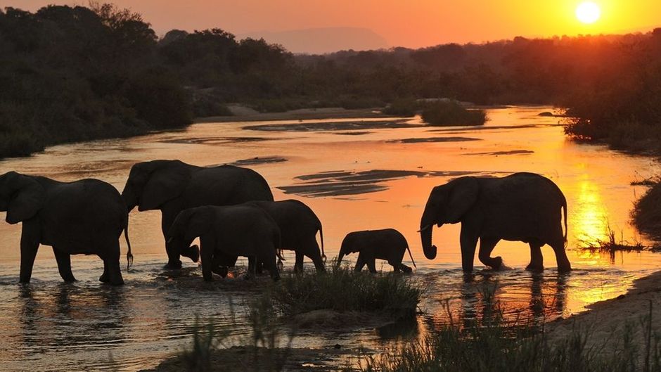 Inyati Game Lodge Other