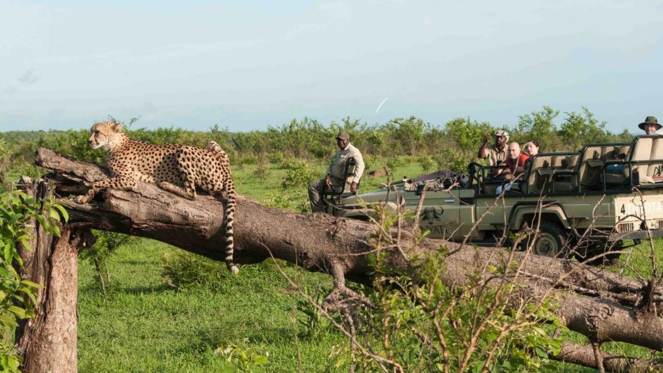 Inyati Game Lodge Recreation