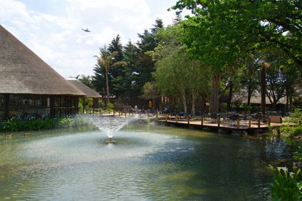 Birchwood Hotel & OR Tambo Conf Ctr