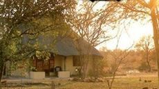 Kambaku Safari Lodge
