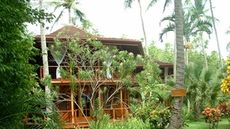 Tambor Tropical