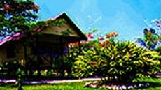 Windy Hill Resort