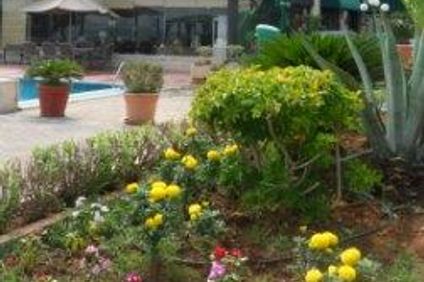 Holiday Suites Hotel & Beach Resort