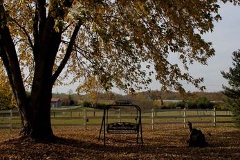 First Farm Inn