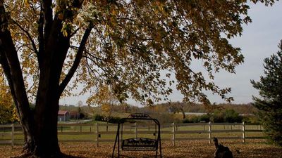 First Farm Inn