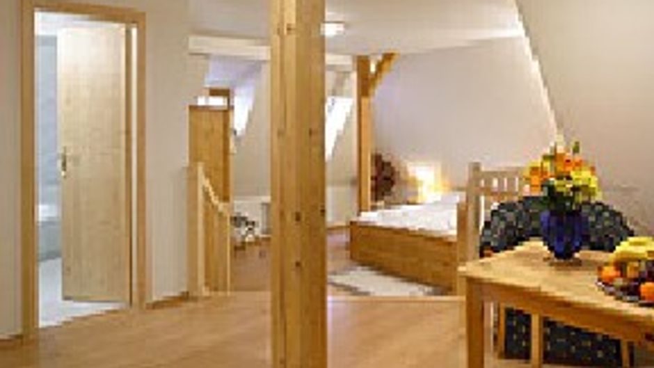 Hotel Zlaty Andel Other