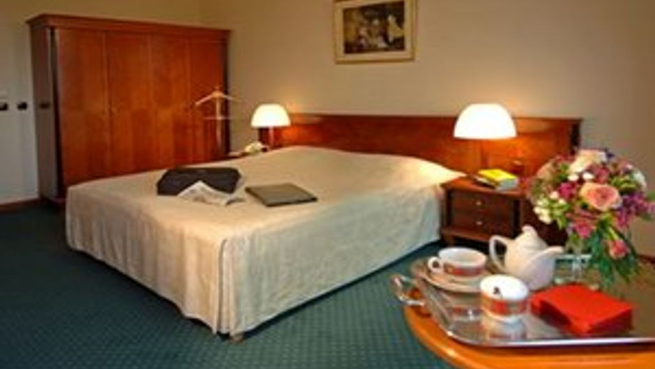 Hotel Aleksandar Palace Room