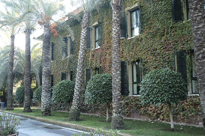 Hotel Jardin Milenio