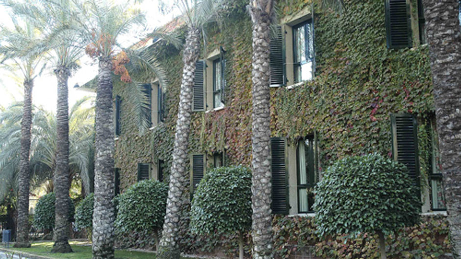 Hotel Jardin Milenio Exterior