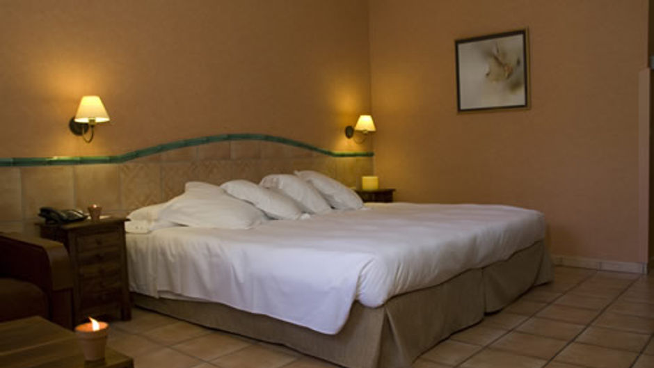 Hotel Jardin Milenio Room