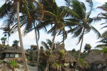 Cabanas Copal Hotel