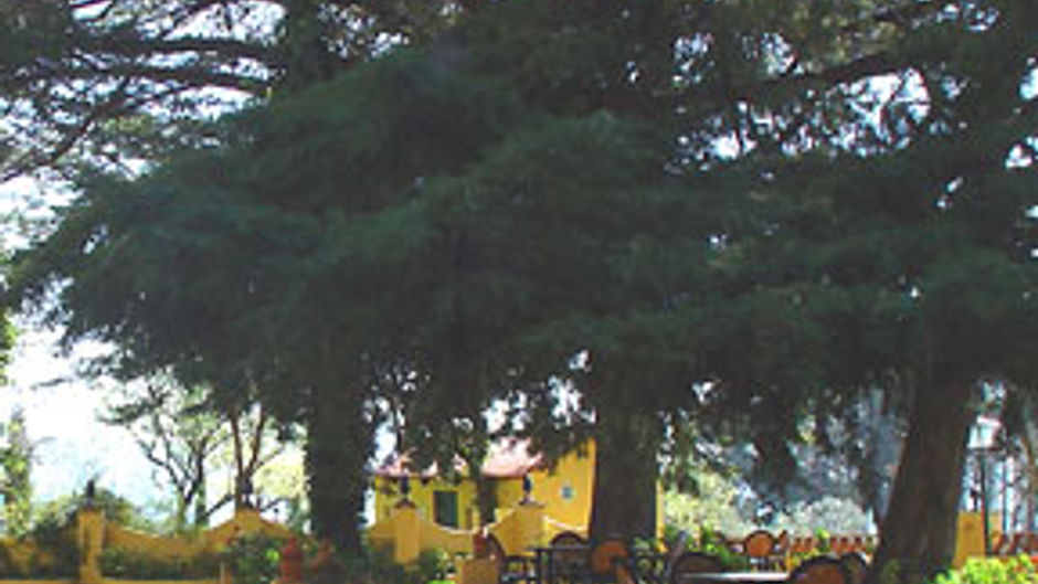 Cortijo la Reina Exterior