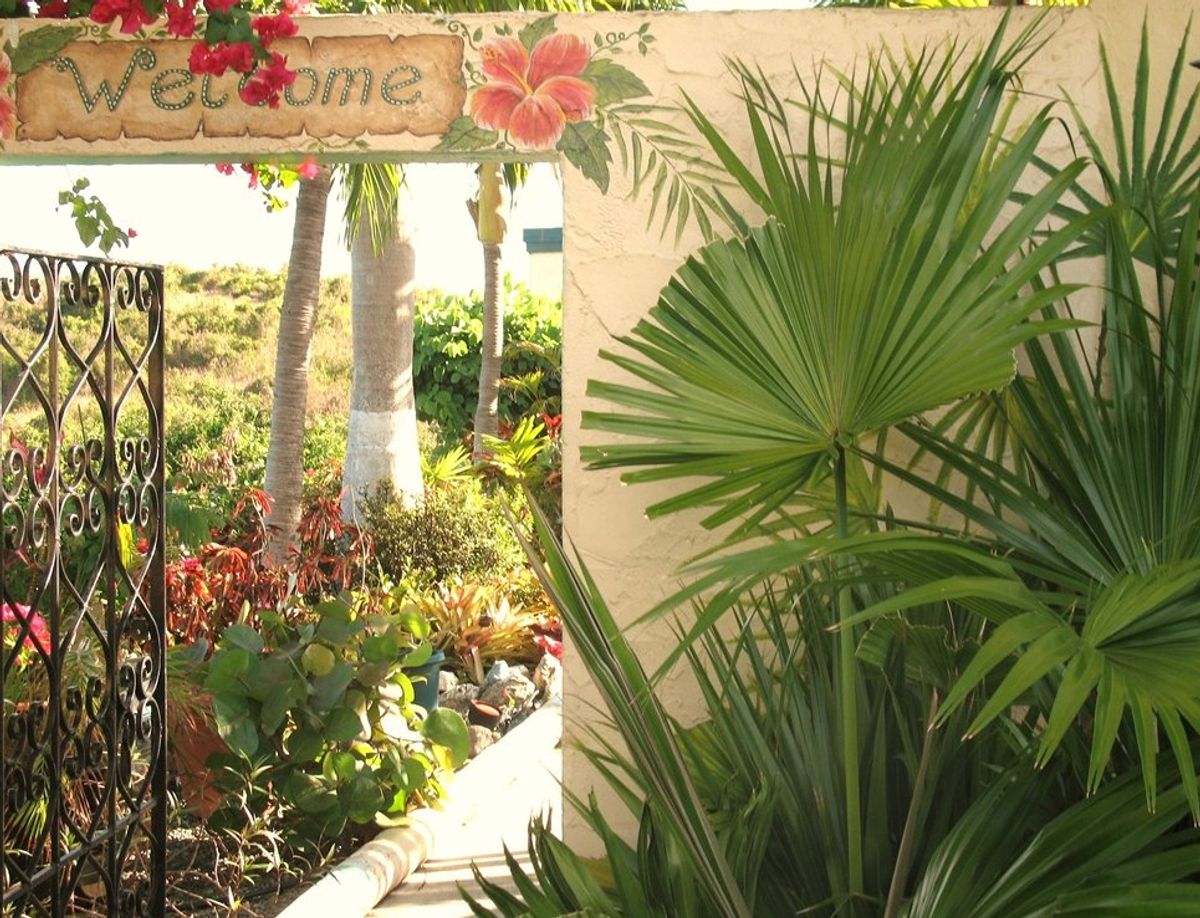 Carringtons Inn First Class Christiansted, St Croix, US Virgin Islands