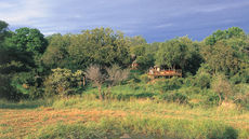Umlani Bush Camp