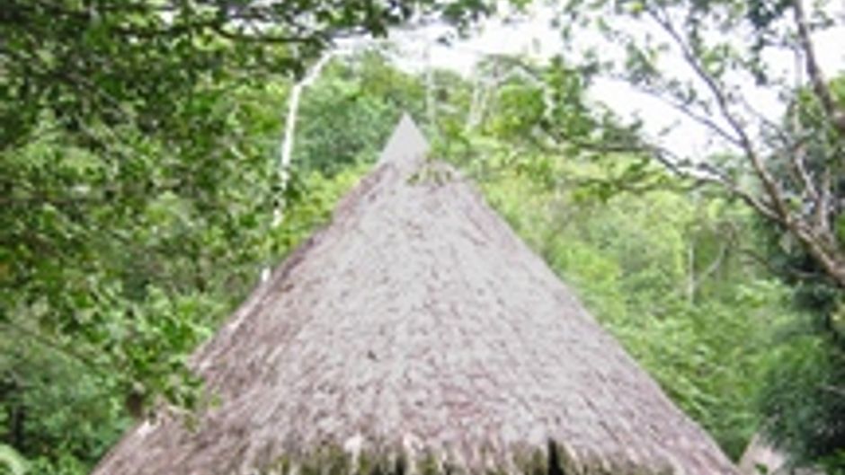 Luna Lodge Room