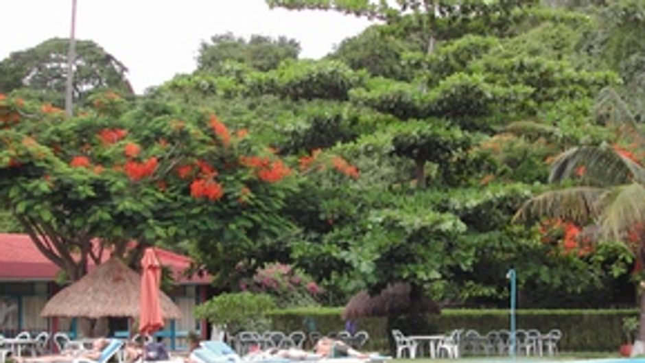 Pestana Inhaca Lodge Pool