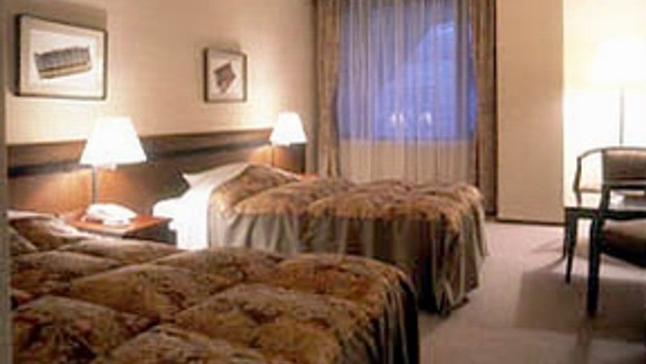 Hakuba Mominoki Hotel Room