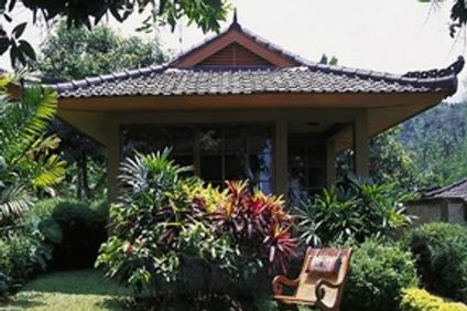 The Damai Lovina Villas