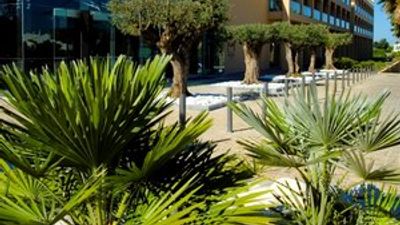 Suites San Rafael