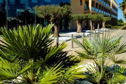 Suites San Rafael