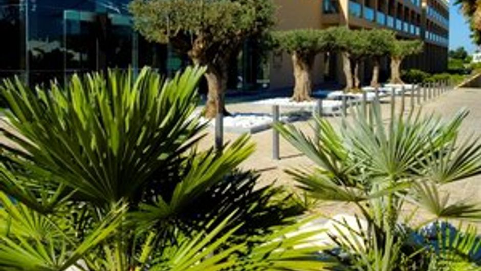 Suites San Rafael Exterior
