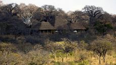 Elewana Tarangire Treetops