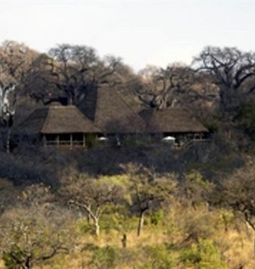 Elewana Tarangire Treetops