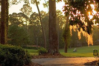 The Villas at Carter Plantation