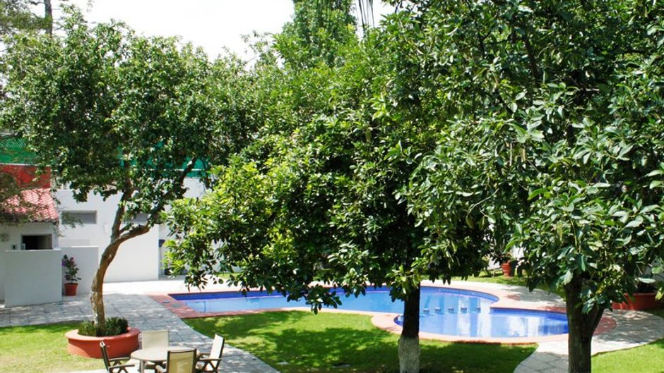 Aurea Hotel and Suites Pool