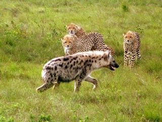 Bukela Game Lodge