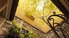 Hotel Residence L'Albero Nascosto