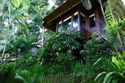 Natura Villa Ubud Resort and Spa