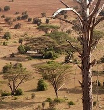 West Kilimanjaro Tented Camp