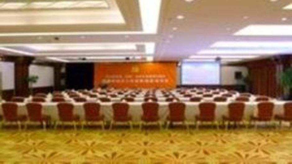 New Phoenix Town Shanghai Meeting