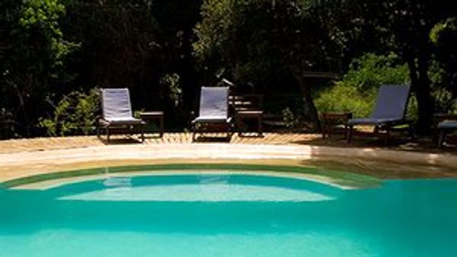 Thonga Beach Lodge Pool