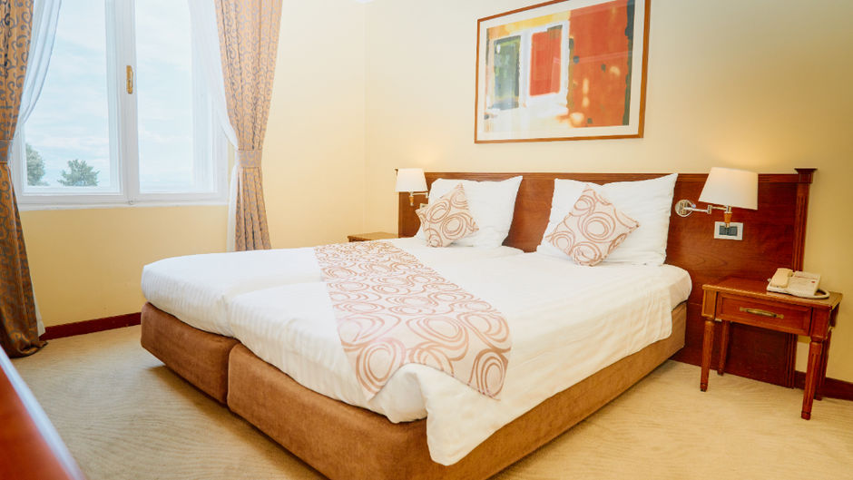 Hotel Bristol Room