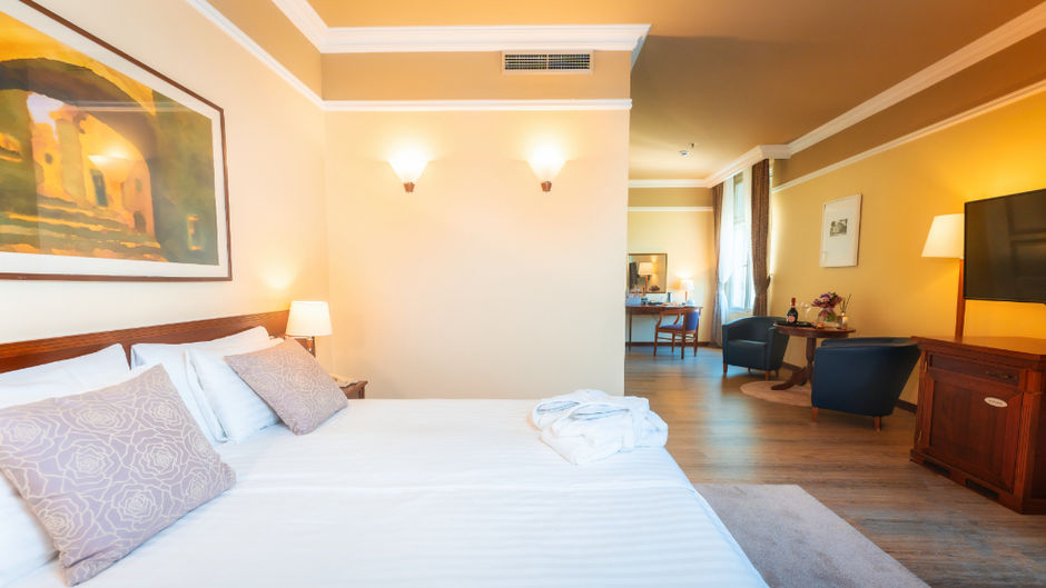 Hotel Bristol Room